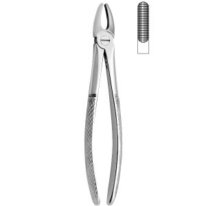 Extracting Forceps - English Pattern 2501
