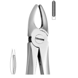 Extracting Forceps - English Pattern 2502