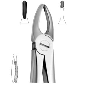 Extracting Forceps - English Pattern 2503