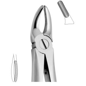 Extracting Forceps - English Pattern 2505