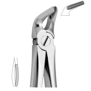 Extracting Forceps - English Pattern 2506