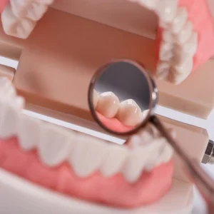 Orthodontics