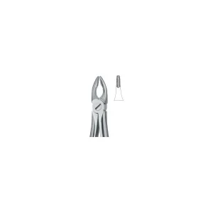Incisors And Bicuspids 34N Art# MI-3017