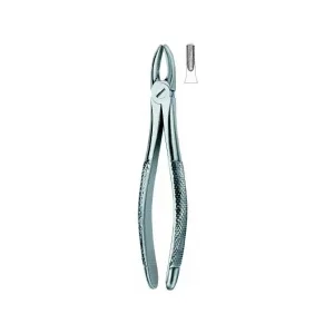 Incisors And Cuspids 1 Art# MI-3001