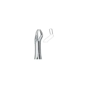 Molars And Third Molars 10S Art# MI-3113