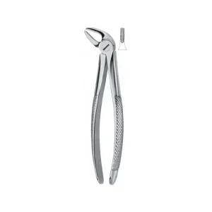 Lower Incisors And Canines 4 Art# MI-3003