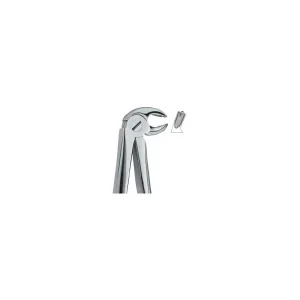 Lower Molars, Right 23 Art# MI-3010