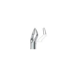 Parmly Molars And Bicuspids 32 Art# MI-3121