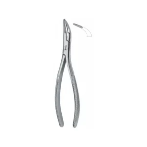 Root Fragments And Universal 501 Art# MI-3141