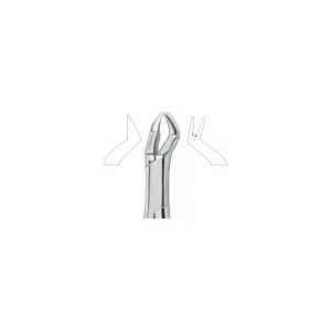 Nevius Molars , Right 88R Art# MI-3129
