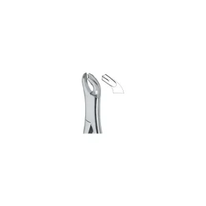 Molars 17 Art# MI-3117