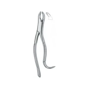 Molars 15 Art# MI-3114