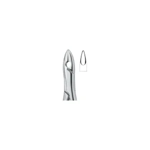 Incisors And Bicuspids 1 Art# MI-3111