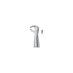 Lower Molars 73 Art# MI-3033
